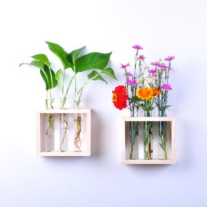 Padr-o-para-vaso-de-vidro-cristalino-tubo-de-ensaio-com-moldura-de-madeira-suporte-de